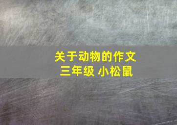 关于动物的作文 三年级 小松鼠